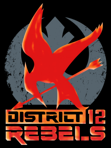 DIST.12 REBELS