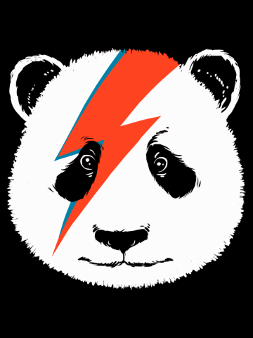 David panda