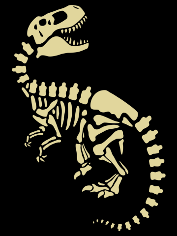 Dinosaur Fossil - Jurassic Era
