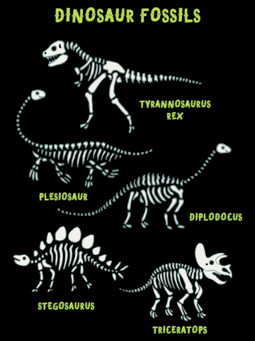 Dinosaur Fossils - Blue - Fun graphic pattern by Cecca Designs