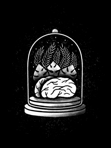 Display Brain
