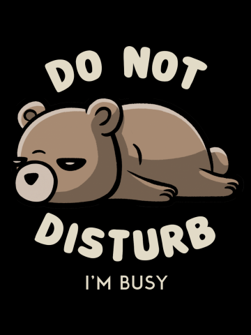 Do Not Disturb I'm Busy Funny Lazy Gift