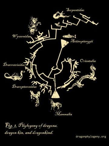 Dragon Phylogeny (Original)