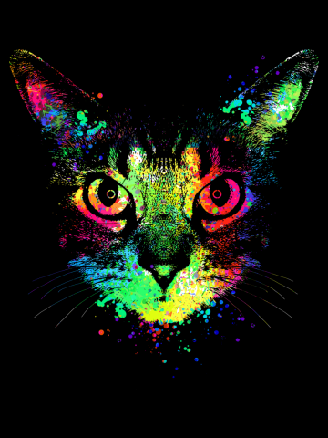 Dripping colorful kitten