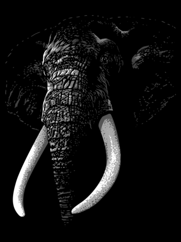 Elegant Elephant
