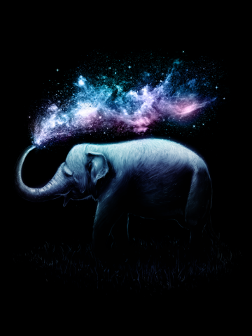 Elephant Splash