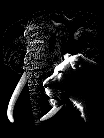 Elephant lioness