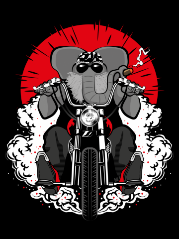 Elephant old biker