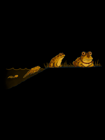 Evolution 