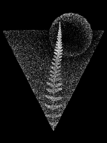Fern and Moon