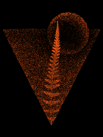 Fern and Moon
