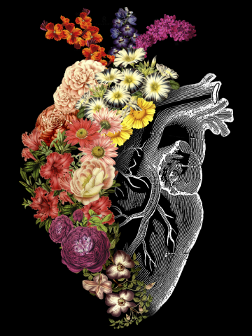 Flower Heart Spring