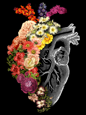 Flower Heart Spring