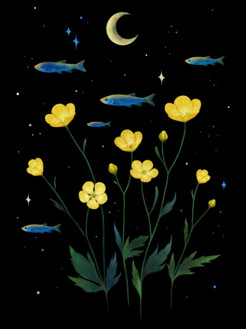 Flowers and Fish