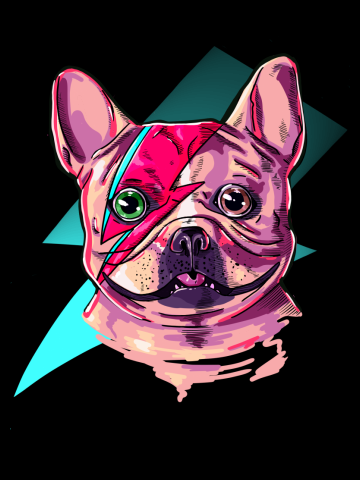 Frenchie Bowie