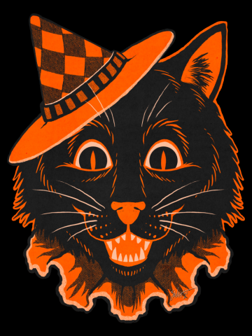 FrightFall2021: Black Cat