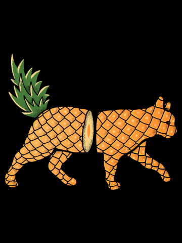 Fruit Cat: Pineapple