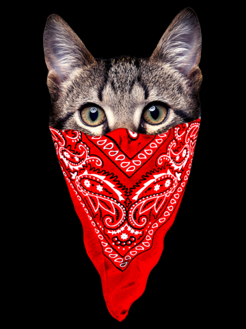 Gangster Cat (Red Bandana)