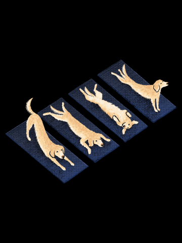 Golden Retriever Yoga