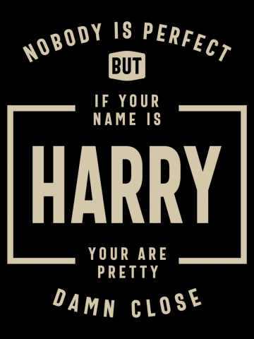 Harry: Pretty Damn Close to Perfect