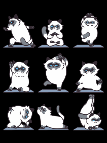 Himalayan Cat Yoga