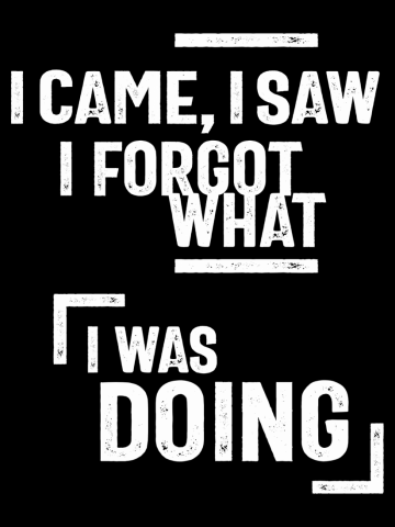 I Came, I Saw I Forgot What I Was Doing