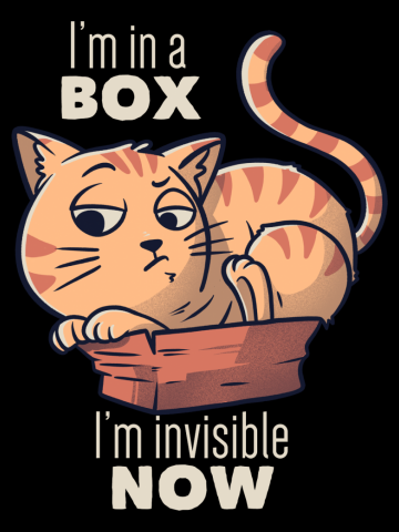 I'm In A Box, I'm Invisible Now Funny Cat Gift