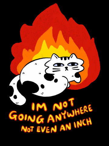 I’m not going