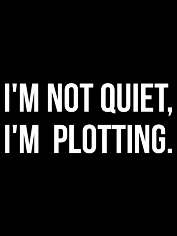 I'm not quiet I'm plotting funny