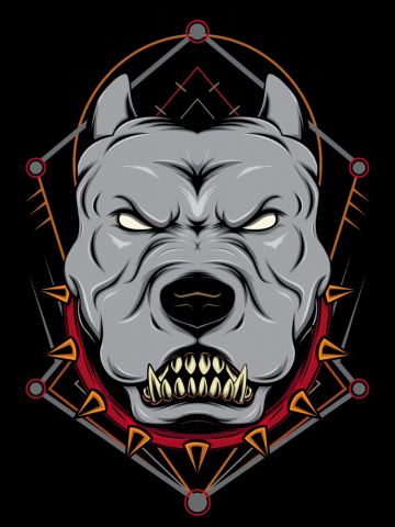 Illustration of a head of a spiteful pit bull, on a black background with ornament.