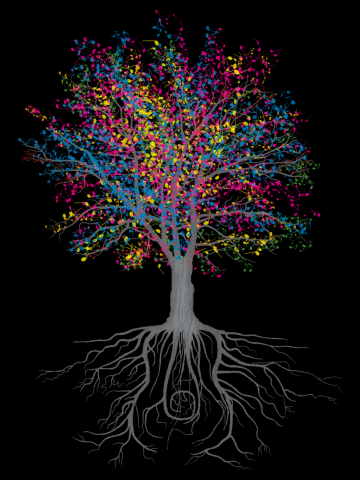 It Grows on Trees