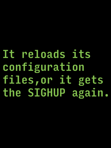 It reloads its configuration files or it gets the SIGHUP again.