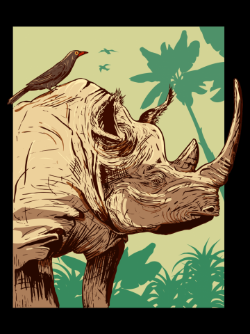 Jungle friends - Oxpeckers and Rhinoceros