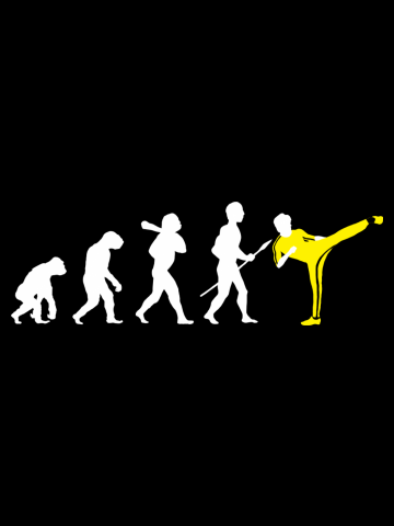 Kung Fu Evolution - Inverted