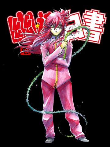 Ladrão do meikai