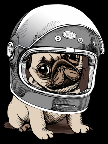 Little Pug Wearing A Full Face Helmet