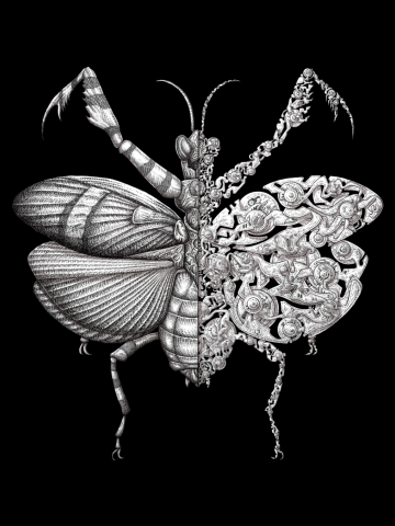 Mantis (black edition)