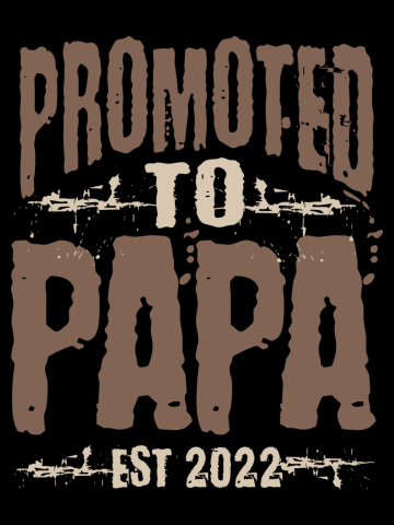 Mens Promoted To Papa Est. 2022 - Fathers Day