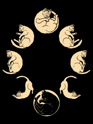 Meow Cycle