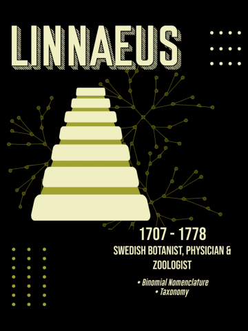Minimal Science Poster - Antonie Van Leeuwenhoek - Dutch