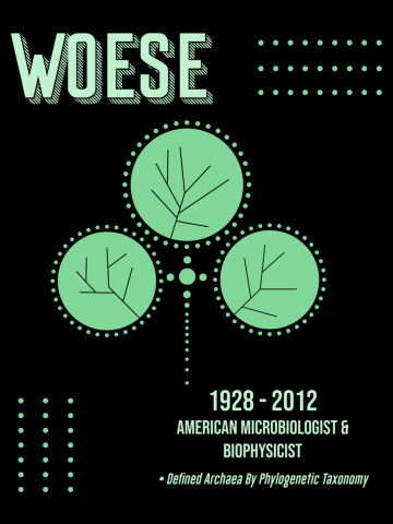 Minimal Science Poster - Carl Woese - American Microbiologist, Biophysicist