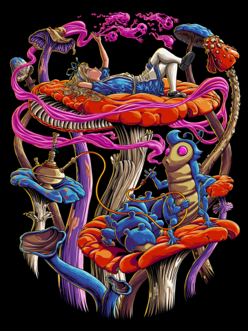 Mushroom Paradise