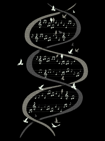 Musical DNA