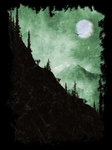 My Motocross and Enduro Art
