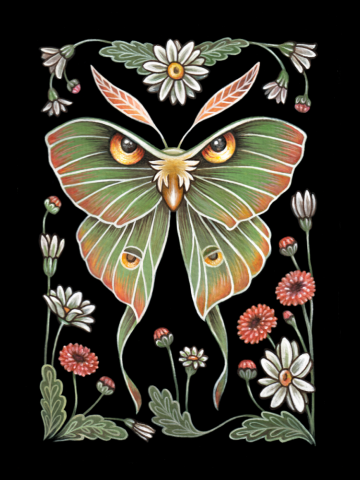 Mystical Luna Moth and Wildflowers Folk Art