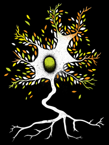 Neuron Three Biomimicry Neuro Science Nature