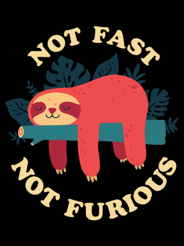 Not Fast Not Furious Funny Sloth Shirt