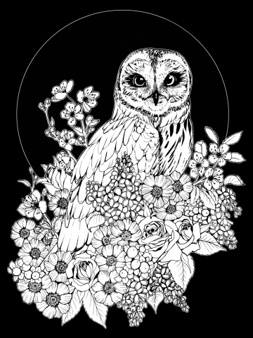 Owl Floral Eclipse - Black Linework Version