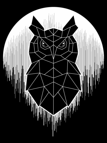 Owl & Moon Geometry