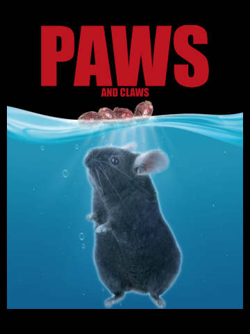 PAWS and CLAWS Funny Chinchilla Saying | Chinchilla Lover